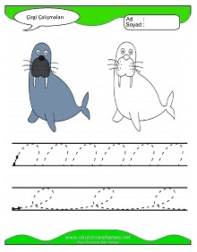 Çizgi Çalışma Sayfaları